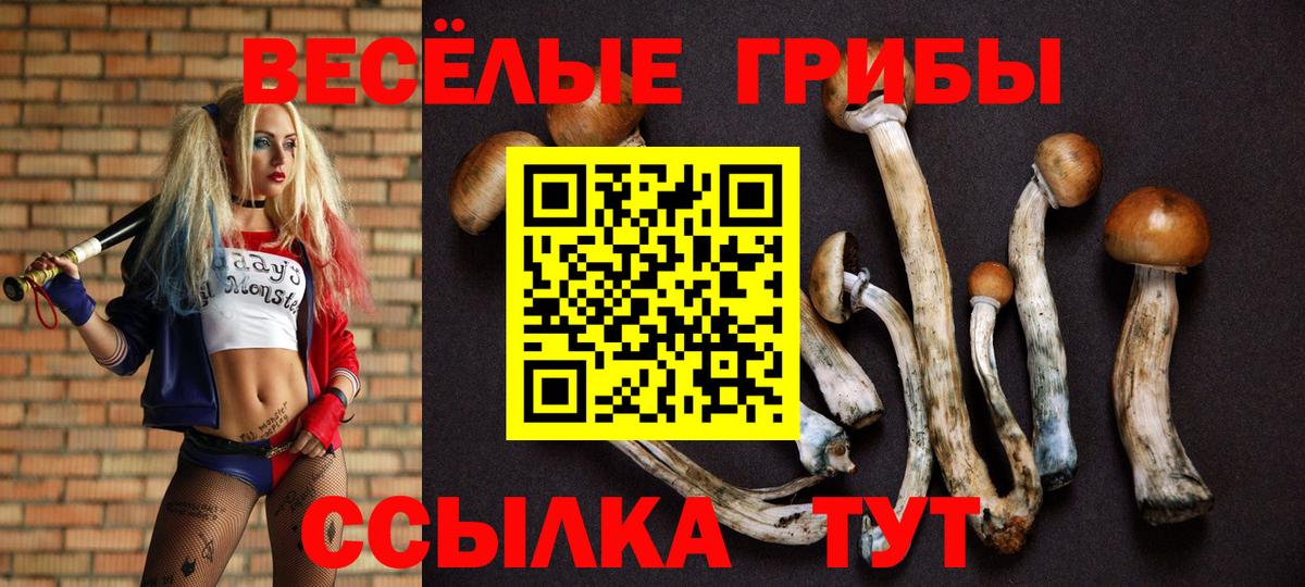 Галлюциногенные грибы мухоморы  Галлюциногенные грибы прущие грибы  Вход с VPN  Усть-Илимск 